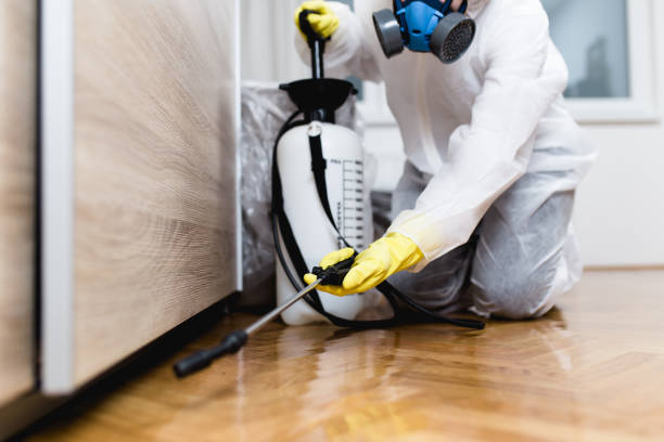 Wasp Removal Services in Ewa Gentry, HI