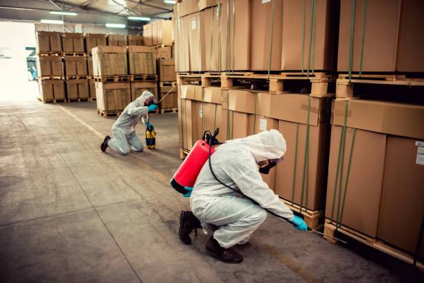 Best Pest Prevention Services  in Ewa Gentry, HI