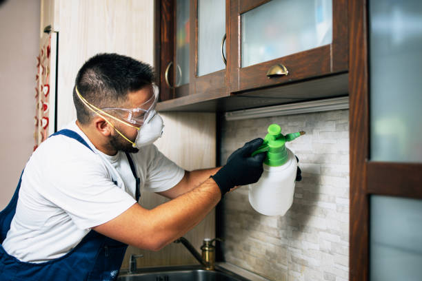 Best Flea Control Services  in Ewa Gentry, HI