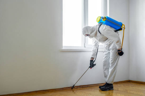 Pest Prevention Services in Ewa Gentry, HI