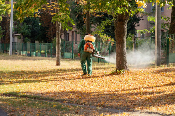Trusted Ewa Gentry, HI Pest Control Experts
